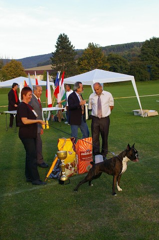www.boxer-show.eu